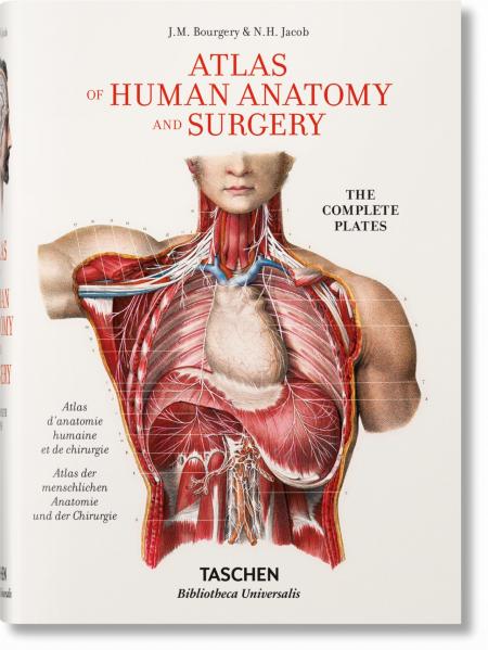обложка книги Jean Marc Bourgery. Atlas of Human Anatomy and Surgery книга Jean Marc Bourgery. Atlas of Human Anatomy and Surgery, автор: Jean-Marie Le Minor, Henri Sick