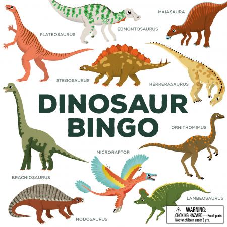 обложка книги Dinosaur Bingo книга Dinosaur Bingo, автор: Illustrations by Caroline Selmes