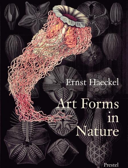 обложка книги Art Forms in Nature: Prints of Ernst Haeckel книга Art Forms in Nature: Prints of Ernst Haeckel, автор: Olaf Breidbach