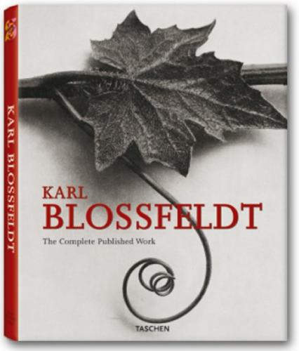 обложка книги Karl Blossfeldt. The Complete Published Work книга Karl Blossfeldt. The Complete Published Work, автор: Hans-Christian Adam