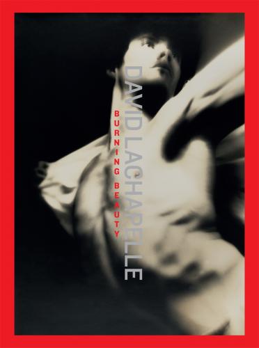 обложка книги David LaChapelle: Burning Beauty книга David LaChapelle: Burning Beauty, автор: David LaChapelle, Min-Jung Jonsson