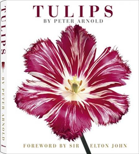 книга Tulips, автор: Peter Arnold