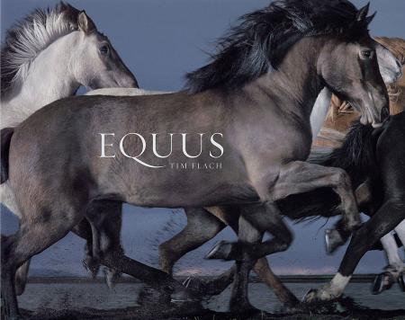 книга Equus, автор: Tim Flach