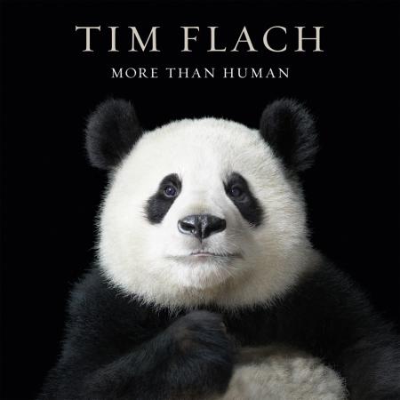 книга More than Human, автор: Tim Flach, Lewis Blackwell