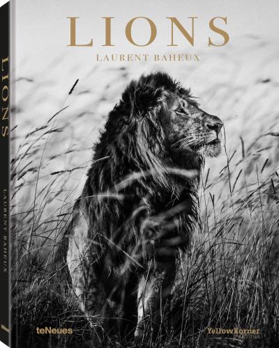 книга Lions, автор: Laurent Baheux