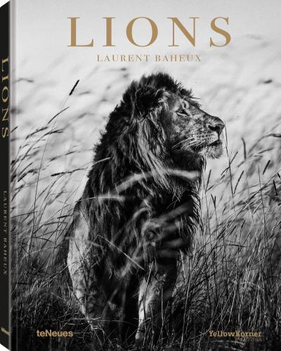 обложка книги Lions книга Lions, автор: Laurent Baheux
