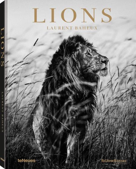 обложка книги Lions книга Lions, автор: Laurent Baheux