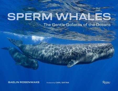 книга Sperm Whales: The Gentle Goliaths of the Ocean, автор: Author Gaelin Rosenwaks, Foreword by Carl Safina