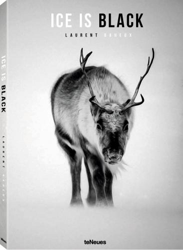 обложка книги Ice is Black книга Ice is Black, автор: Laurent Baheux