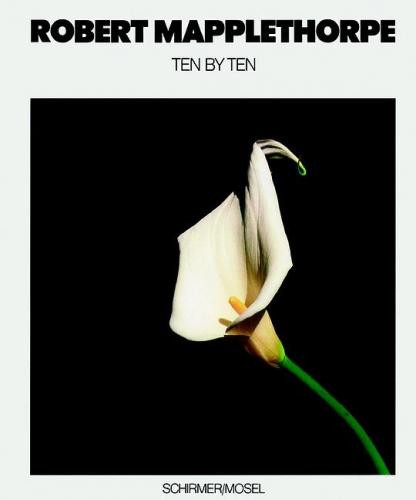 обложка книги Ten by Ten книга Ten by Ten, автор: Robert Mapplethorpe