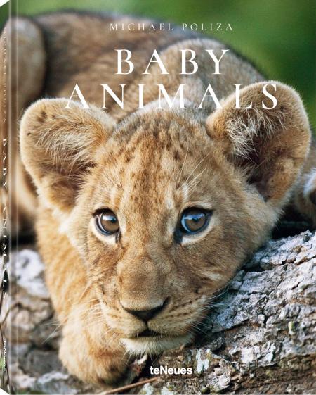 обложка книги Baby Animals книга Baby Animals, автор: Michael Poliza