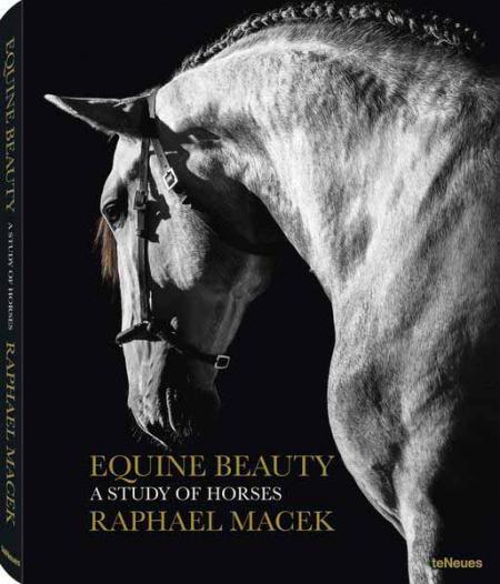 обложка книги Equine Beauty. A Study of Horses книга Equine Beauty. A Study of Horses, автор: Raphael Macek