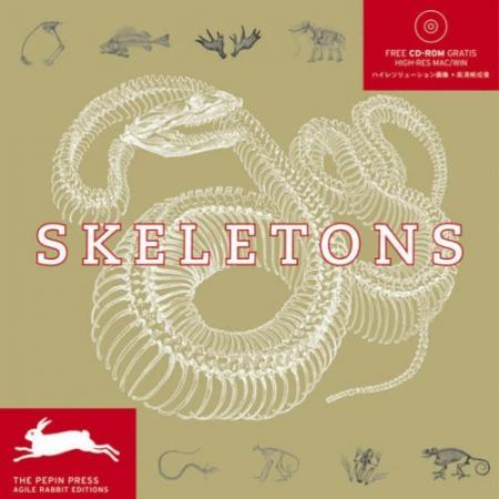 обложка книги Skeletons книга Skeletons, автор: