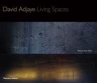 David Adjaye: Living Spaces, автор: Peter Allison