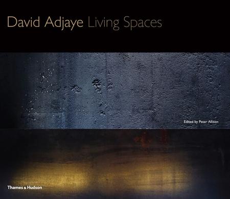 книга David Adjaye: Living Spaces, автор: Peter Allison