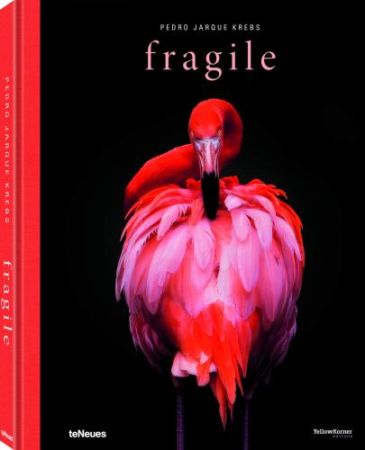 книга Fragile, автор: Pedro Jarque Krebs