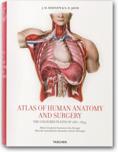 обложка книги Atlas of Anatomy (Taschen 25th Anniversary Series) книга Atlas of Anatomy (Taschen 25th Anniversary Series), автор: Jean-Marie Le Minor, Henri Sick