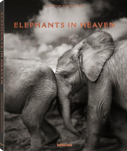 обложка книги Elephants in Heaven книга Elephants in Heaven, автор: Joachim Schmeisser