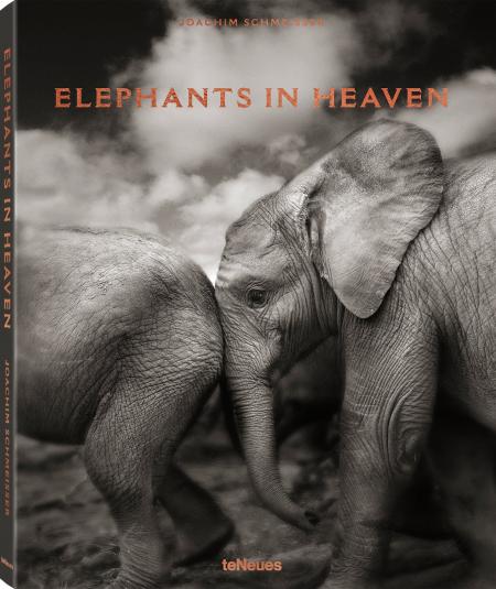 обложка книги Elephants in Heaven книга Elephants in Heaven, автор: Joachim Schmeisser