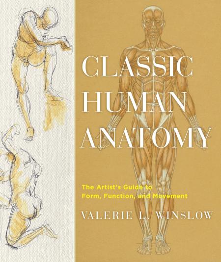 обложка книги Classic Human Anatomy: The Artist's Guide to Form, Function, and Movement книга Classic Human Anatomy: The Artist's Guide to Form, Function, and Movement, автор: Valerie L. Winslow